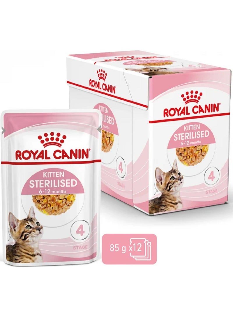 Royal Canin Kitten sterilised jelly wet food for kittens 12X85g