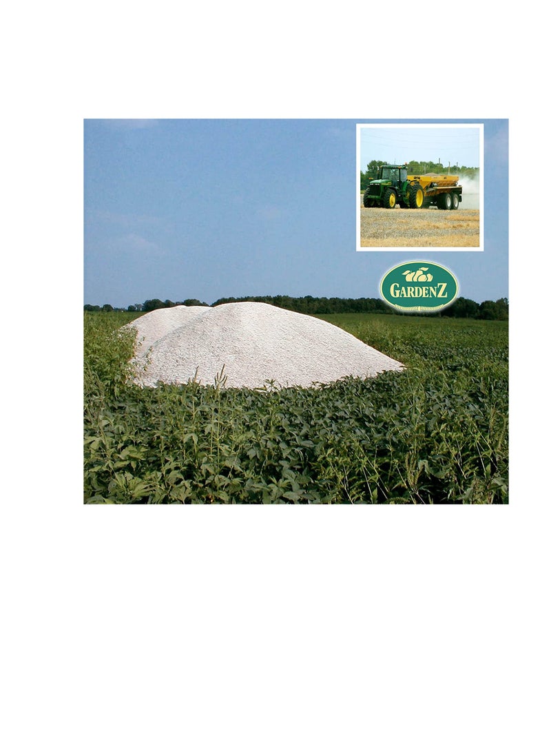 ritaj - Agriculture Gypsum 25 KG Made in Oman Global source of Organic Calcium and Sulfur soil conditioning fertilizers - Image 1