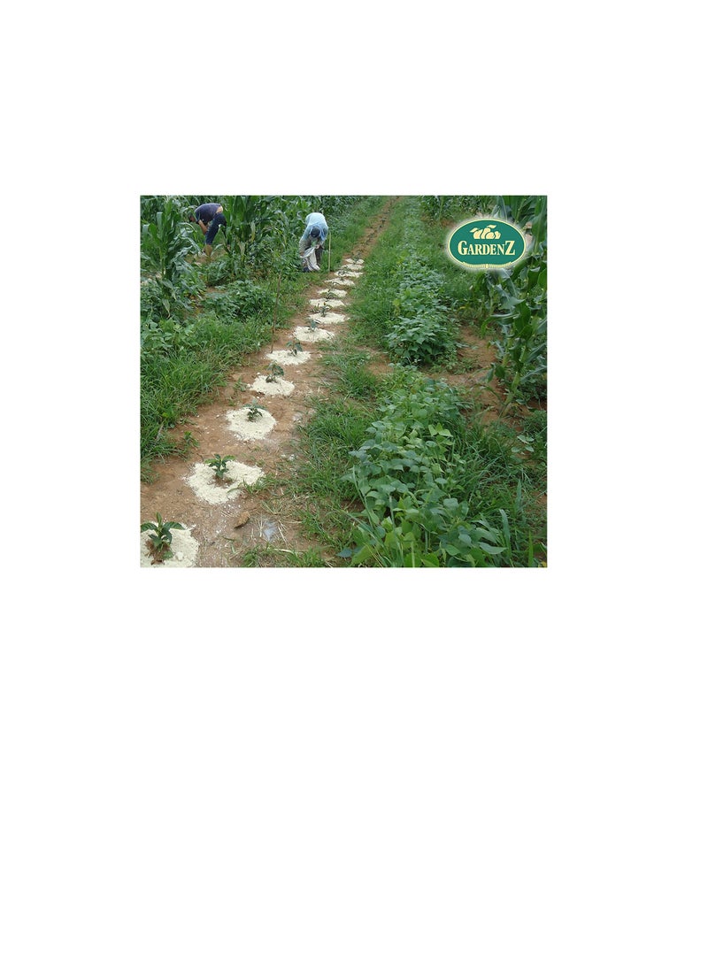 ritaj - Agriculture Gypsum 25 KG Made in Oman Global source of Organic Calcium and Sulfur soil conditioning fertilizers - Image 1