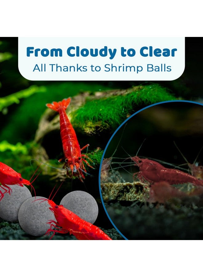 SunGrow Shrimp Balls, CalciumRich Balls, Successful Shedding, Increase Survival Rate, Impart Vibrance, Cool Décor With Wellness Benefits - Image 5