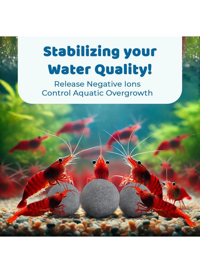 SunGrow Shrimp Balls, CalciumRich Balls, Successful Shedding, Increase Survival Rate, Impart Vibrance, Cool Décor With Wellness Benefits - Image 4