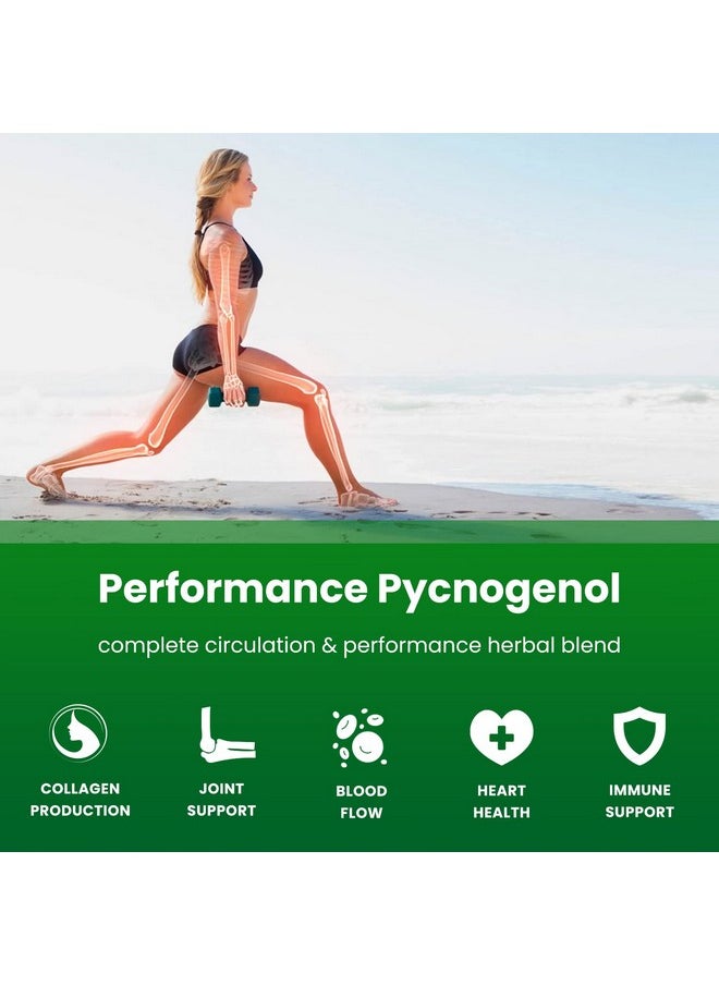 NutraChamps - Pycnogenol French Maritime Pine Bark Extract ; Premium Circulation Complex ; Blood Flow Nitric Oxide Production ; Superior Absorption Results With Black Pepper Extract ; Vegan Nongmo ; 60 Capsules - Image 1