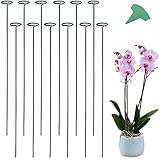 GROWNEER GROWNEER 12 Packs 36 Inches Garden Flower Support Plant Support Stakes, with 15 Pcs Plant Labels, Single Plant Stem  - Image 1