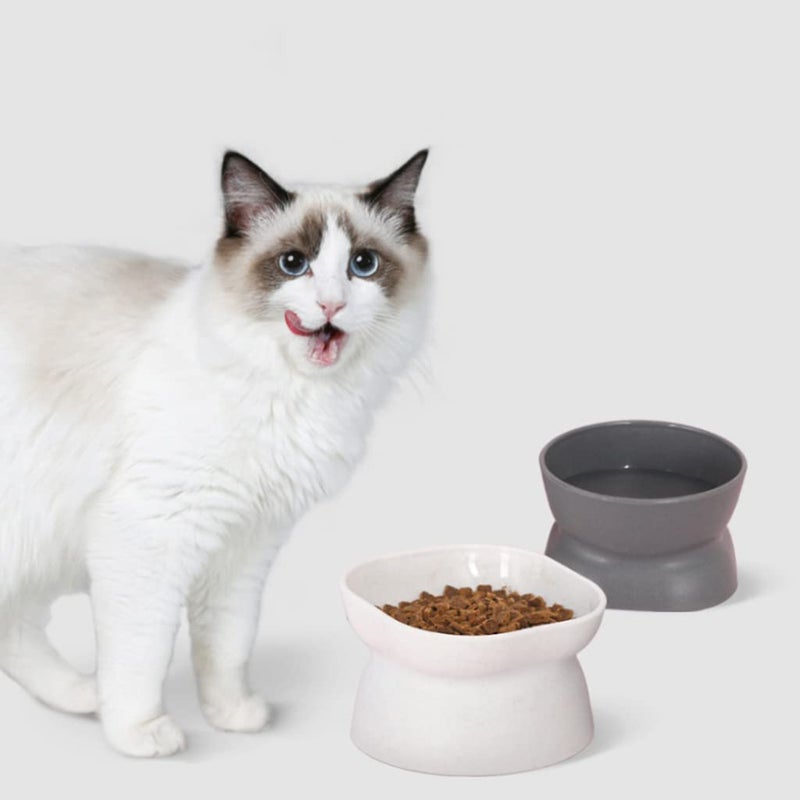 White Elevated Pet Food Bowl 10 Degree Tilted Raised Feeder Dish For Cats And Small Dogs - Image 3