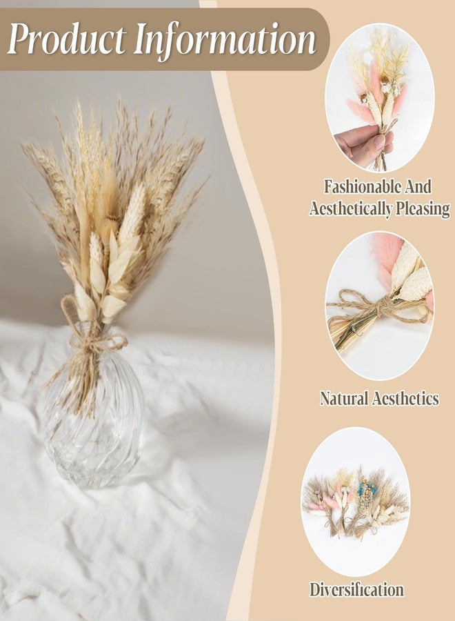 Rainflow باقة زهور مجففة صغيرة من رين فلو - عبوة من 4 قطع، زهور مجففة طبيعية، زينة حفلات الزهور، باقة زهور مجففة للأعمال اليدوية، زينة حفلات الزفاف، ديكور بوهيمي، مزهرية، زينة طاولة مركزية، حفلة، زهرة العروة، اصنعها بنفسك - Image 3