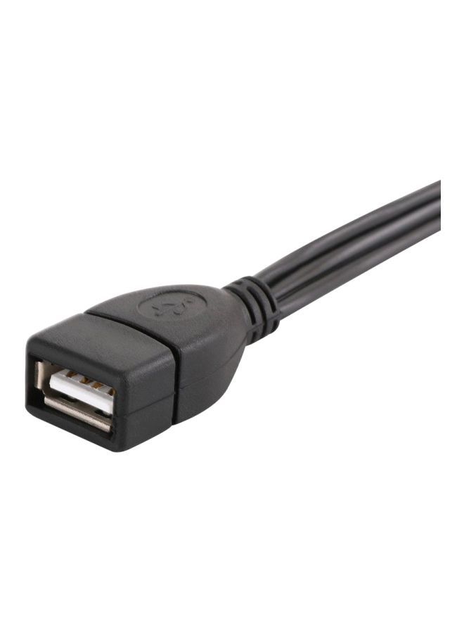 NIBEMINENT USB A To Female Socket 3 RCA Male Video A/V Camcorder Adapter Cable Black - Image 3