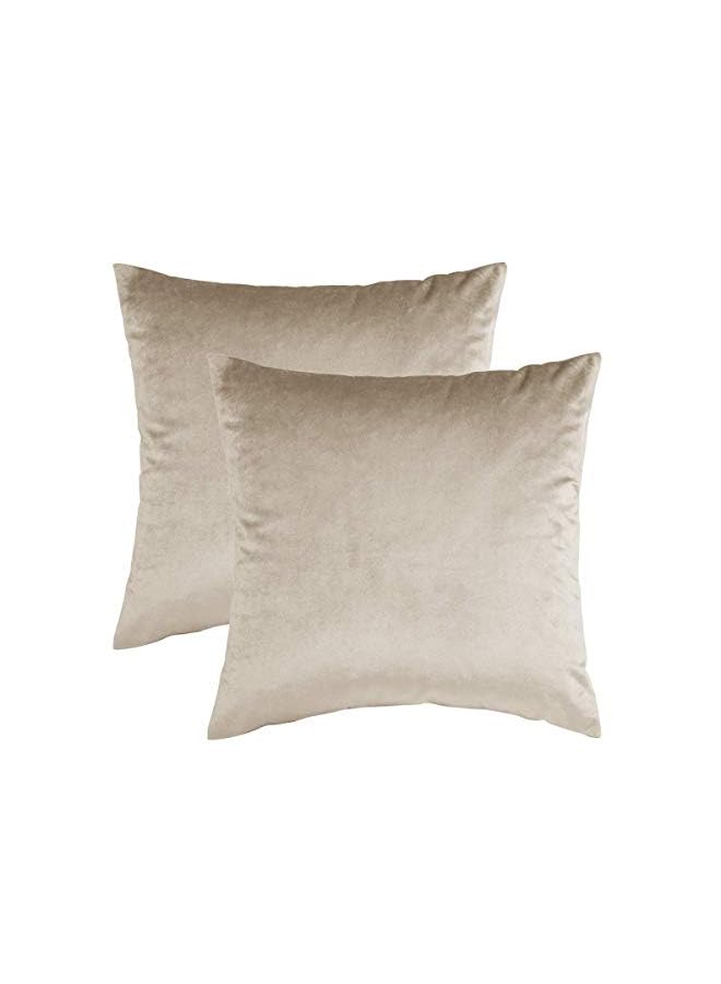 vesus Decorative Couch Throw Pillow Cover,Set of 2 Sofa 20x20 Cream Throw Pillows,Square Farmhouse Velvet Throw Cushions - Image 2