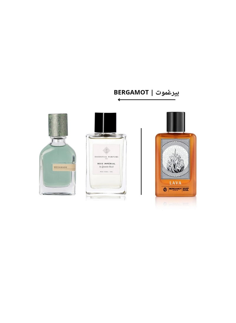 Bergamot Lava Bergamot For Men EDP 80ml - Image 3