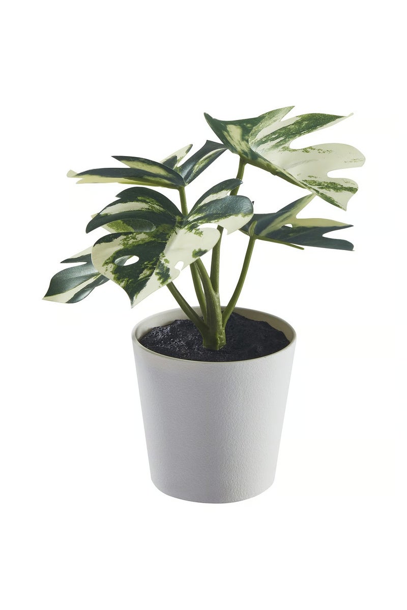 FEJKA Artificial Monstera Plant in Pot – Desk or Shelf Decor, Indoor & Outdoor 6 cm - Image 1