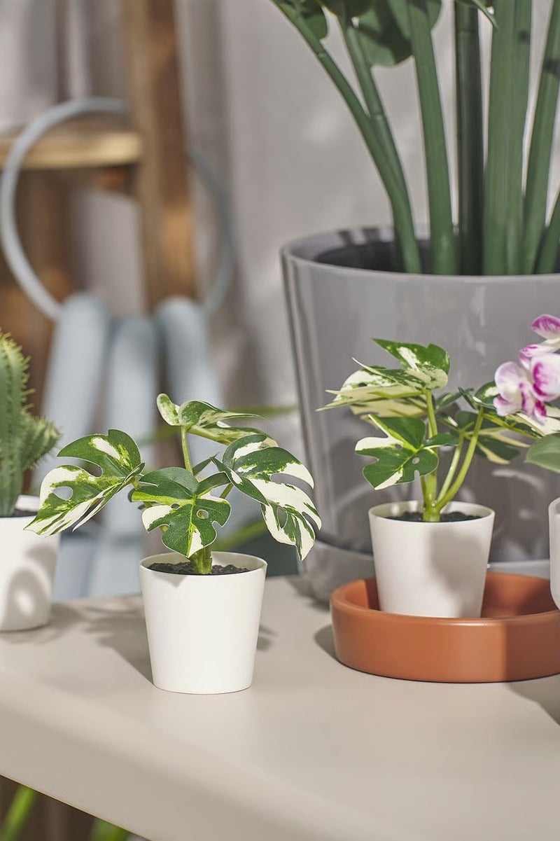 FEJKA Artificial Monstera Plant in Pot – Desk or Shelf Decor, Indoor & Outdoor 6 cm - Image 3
