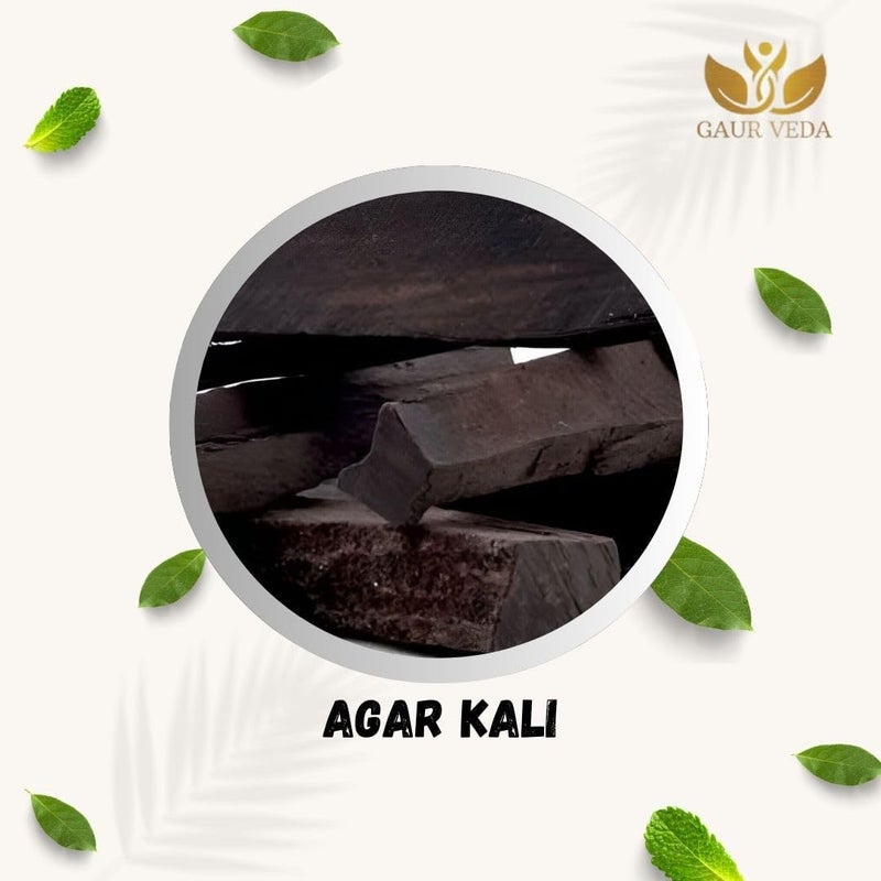 GAURVEDA GAURVEDA Agar Wood Raw Herb 500 Gm Agar Kali Raw Herb Aquilaria Agallocha Raw Herb Oud Wood Pure Natural  - Image 3