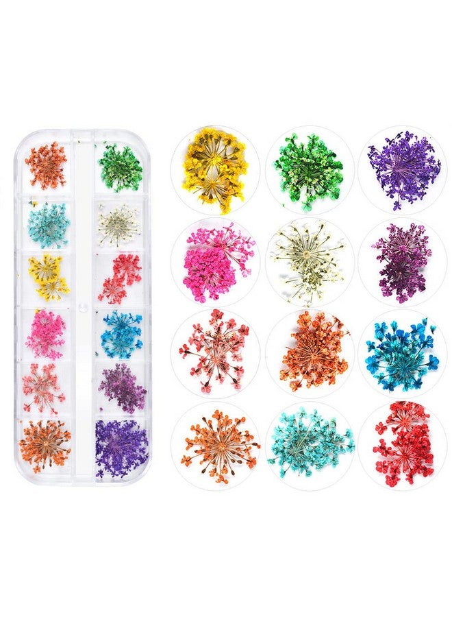 24 Colors Dried Flowers For Nail Art 2 Boxes 3D Dry Flowers Nail Stickers Colorful Natural Real Flower Nail Decals - Image 4