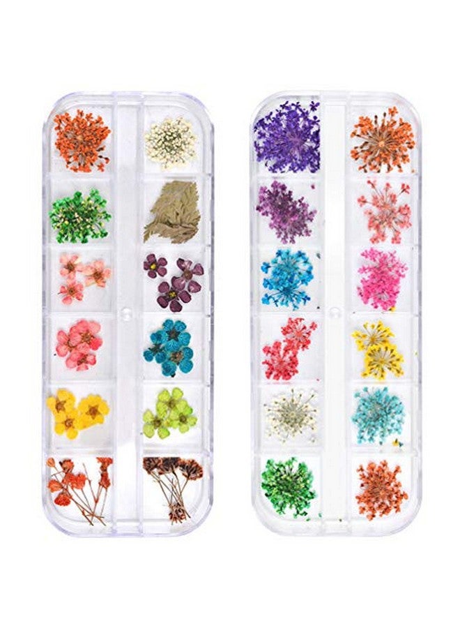 24 Colors Dried Flowers For Nail Art 2 Boxes 3D Dry Flowers Nail Stickers Colorful Natural Real Flower Nail Decals - Image 1