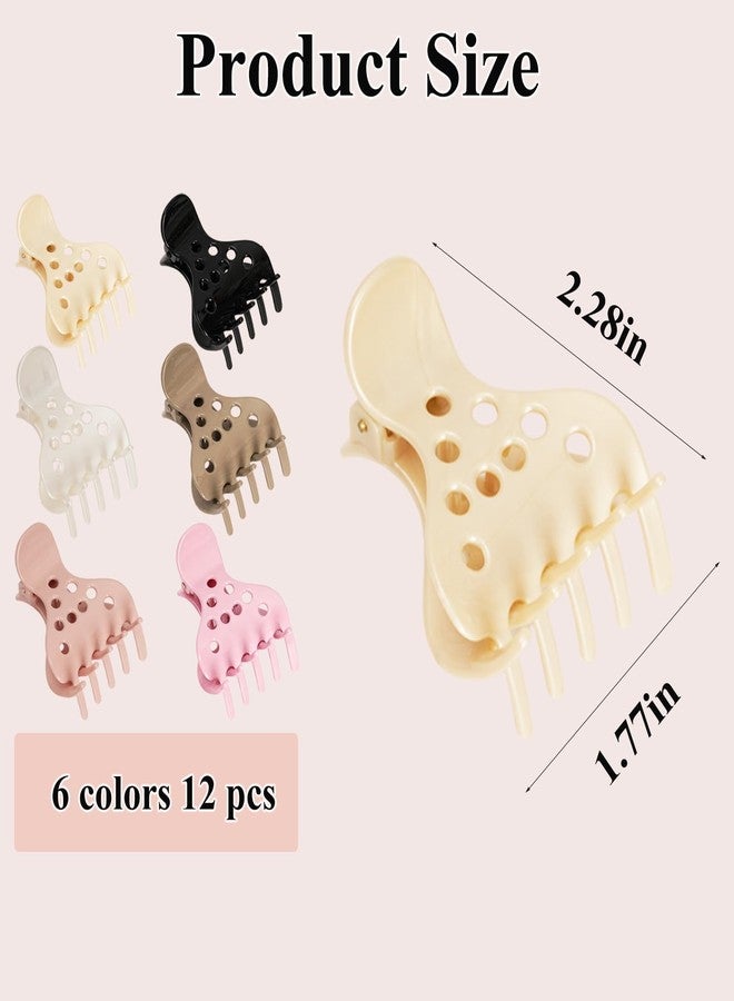Chiplesier 12PCS Root Lifting Hair Clips for Volume, Curly Hair Root Lifter Tool, Volumizing Claw Clamps for Curly Hair, Non-slip Bounce Curl Volume Root Clips for Women Girls (Small) - Image 2
