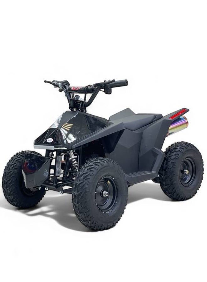 48V electric quad bike - Image 1