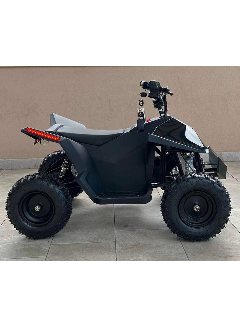 48V electric quad bike - Image 2
