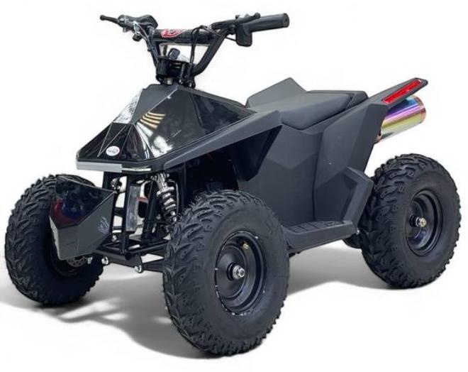 دباب رباعي كهربائية بجهد 48 فولت - Image 1