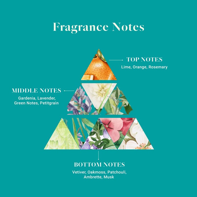 Adeha Fragrance Pocket Waves of Serenity 20g Benzene and Silica Free Fragrance Blends Lasts Up to 30 days Air Freshener for Bathroom Car Wardrobe Shoe racks Pack of 1 Waves of Serenity - Image 4