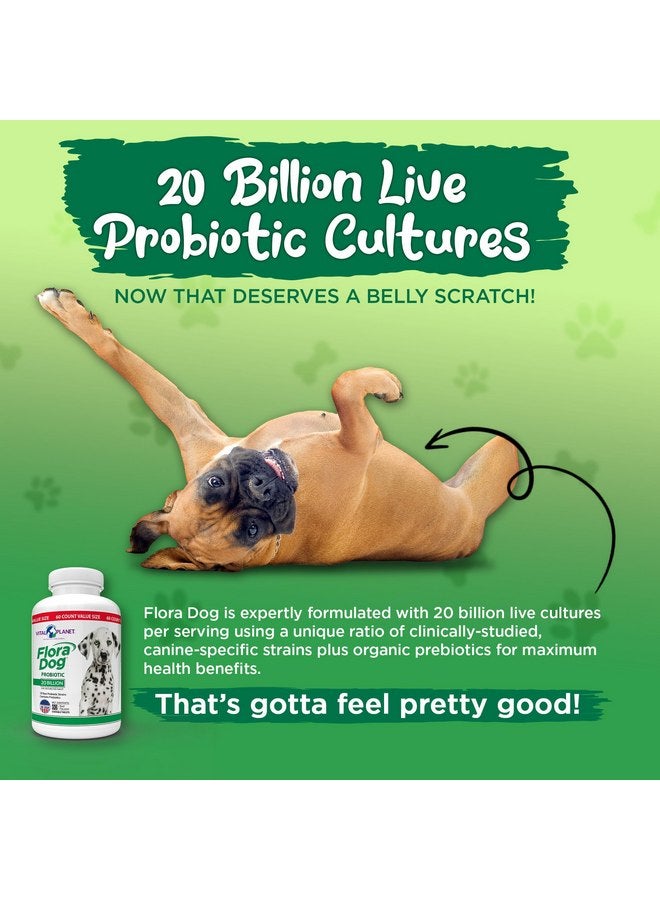 Vital Planet - Flora Dog Probiotic Chewable Tablets Supplement with 20 Billion Cultures and 10 Strains, High Potency Immune and Digestive Support Probiotics for Dogs, 60 Beef Flavored Chewable Tablets - Image 5