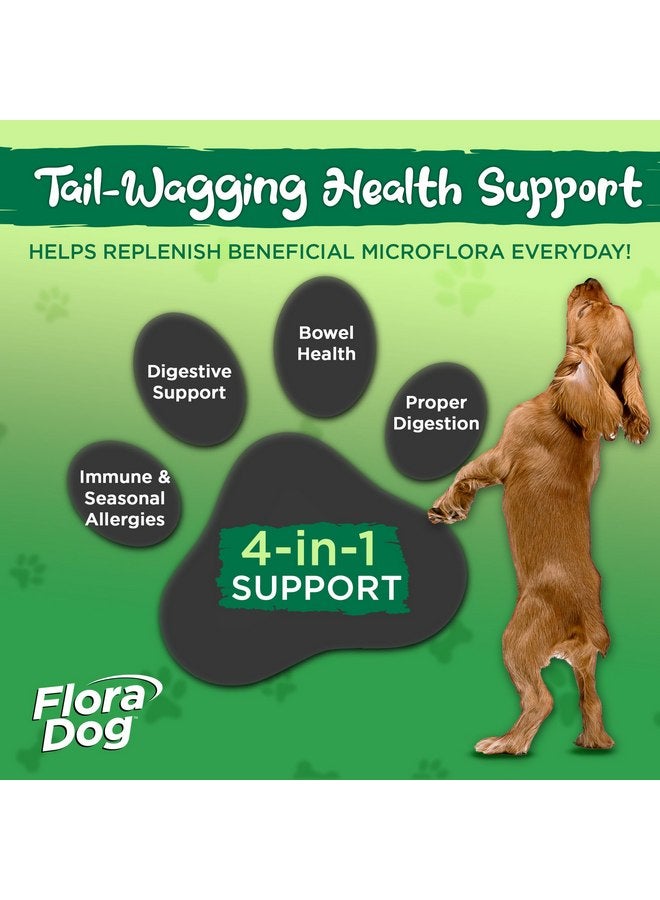 Vital Planet - Flora Dog Probiotic Chewable Tablets Supplement with 20 Billion Cultures and 10 Strains, High Potency Immune and Digestive Support Probiotics for Dogs, 60 Beef Flavored Chewable Tablets - Image 4