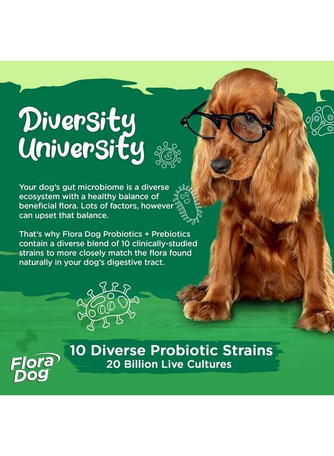 Vital Planet - Flora Dog Probiotic Chewable Tablets Supplement with 20 Billion Cultures and 10 Strains, High Potency Immune and Digestive Support Probiotics for Dogs, 60 Beef Flavored Chewable Tablets - Image 3