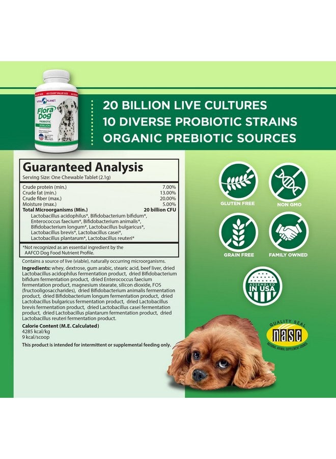 Vital Planet - Flora Dog Probiotic Chewable Tablets Supplement with 20 Billion Cultures and 10 Strains, High Potency Immune and Digestive Support Probiotics for Dogs, 60 Beef Flavored Chewable Tablets - Image 2
