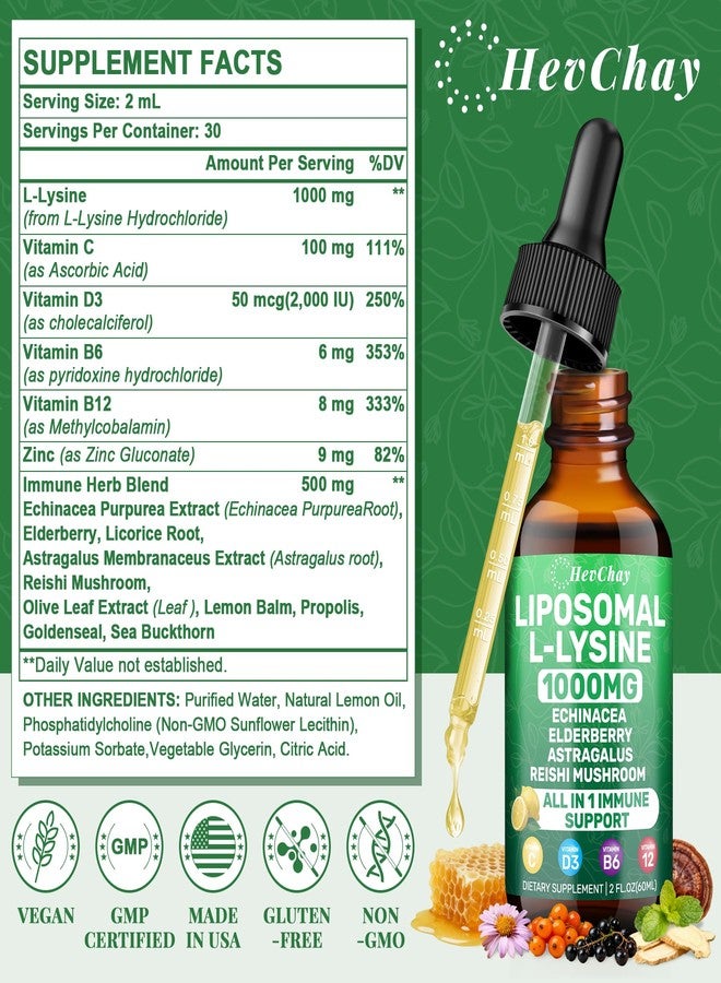 HevChay Liposomal L-lysine 1000MG Liquid Drops, L-Lysine Supplements for Kids and Adults, All-in-1 Essential Amino Acid with Vitamin C, B6, D3, B12 & Zinc for Collagen, Lip, skin & Immune Support, 1 Pack - Image 2