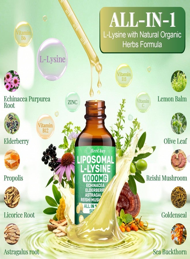 HevChay Liposomal L-lysine 1000MG Liquid Drops, L-Lysine Supplements for Kids and Adults, All-in-1 Essential Amino Acid with Vitamin C, B6, D3, B12 & Zinc for Collagen, Lip, skin & Immune Support, 1 Pack - Image 3