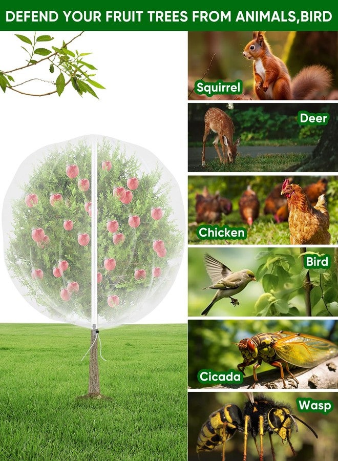 شبكة حماية أشجار الفاكهة من حشرات الزيز - مع سحاب، 4 قطع، 5 × 4 قدم، شبكة حماية طيور الحدائق لشجيرات التوت مع رباط، أكياس شبكية لحماية النباتات من الحشرات، الطماطم، الزيز، الحيوانات (4، 4 × 5 قدم) - Image 3
