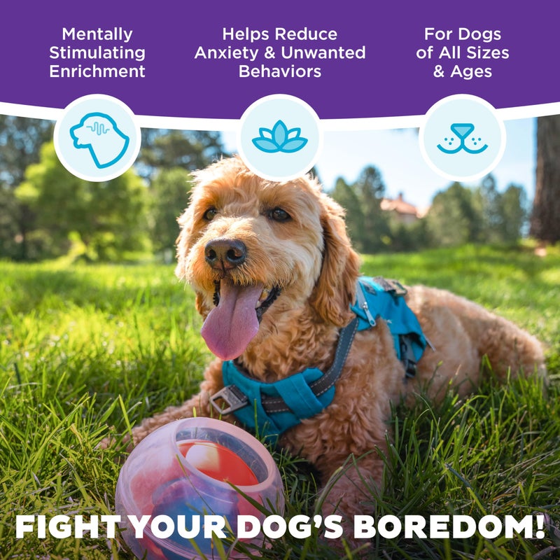 Outward Hound Nina Ottosson Topsy Treat Ball Dog Puzzle Interactive Treat Puzzle Dog Enrichment Dog Toy, Level 1 Beginner, Orange - Image 3