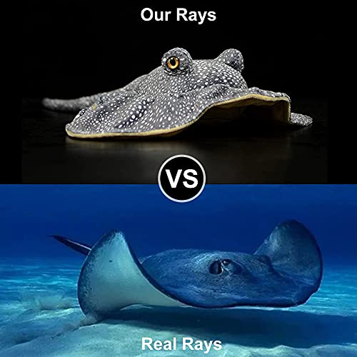 ZHONGXIN MADE Simulation Stingray Fish Plush Toys Stuffed Animal 20 inch Manta Ray Bass Leopard Stingray Deep Sea Toy Cute Skate Fish Toy as Gift for Kids - Image 5