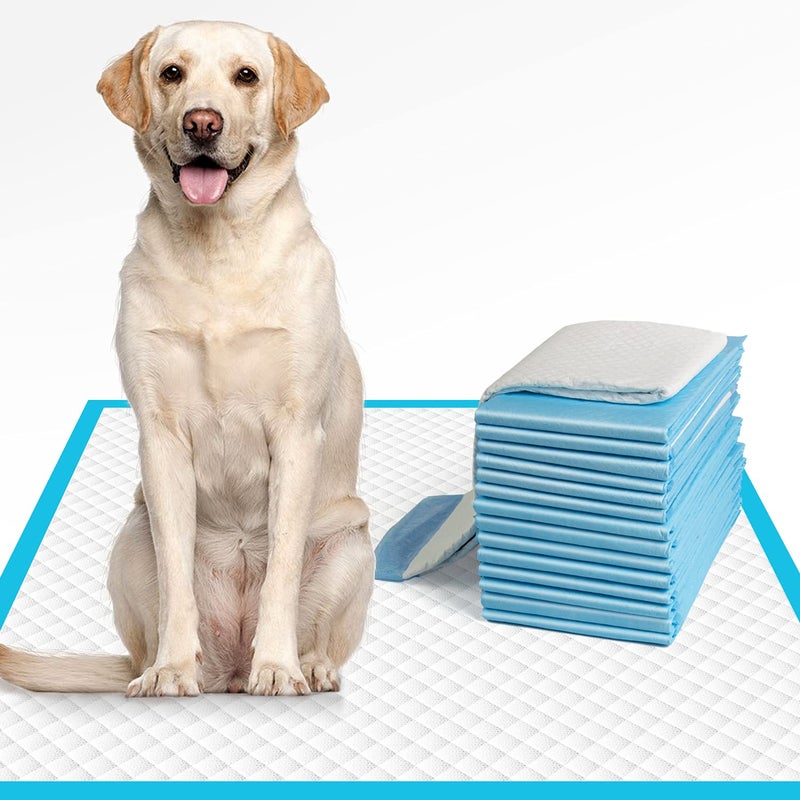 IMMCUTE Dog Pee Pads Extra Large 28x34 XLarge Training Puppy Pee Pads Super Absorbent LeakProof XL Disposable Pet Piddle Pad and Potty Pads for Dogs Puppies Doggie XLarge2834 30 Ct