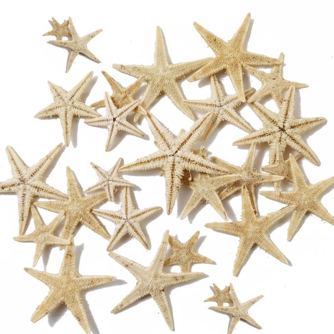 90PCS 0412 SMALL STARFISH STAR SEA SHELL BEACH CRAFTYELLOW