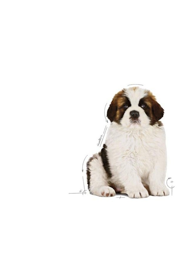 رويال كانين طعام الكلاب الجاف من رويال كانين جاينت بابي، دجاج، 3.5 كجم، عبوة واحدة - Image 4