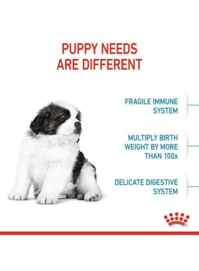 رويال كانين طعام الكلاب الجاف من رويال كانين جاينت بابي، دجاج، 3.5 كجم، عبوة واحدة - Image 5