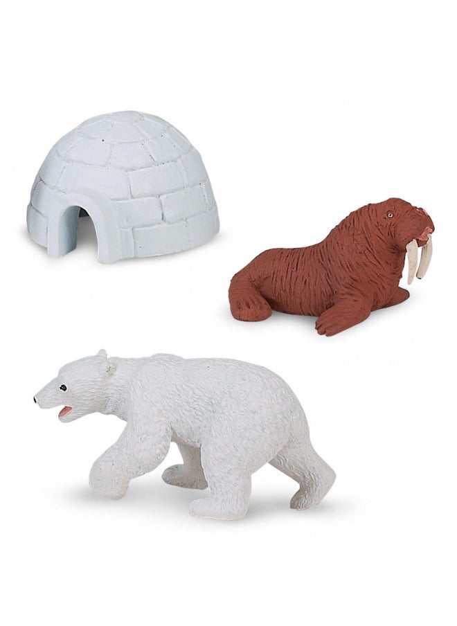 Safari Ltd. - Safari Ltd Arctic TOOB With 10 Fun Figurines, Including A Harp Seal, Husky, Caribou, Arctic Rabbit, Killer Whale, Walrus, Arctic Fox, Beluga Whale, Igloo, And Polar Bear For Ages 3 and Up - Image 1