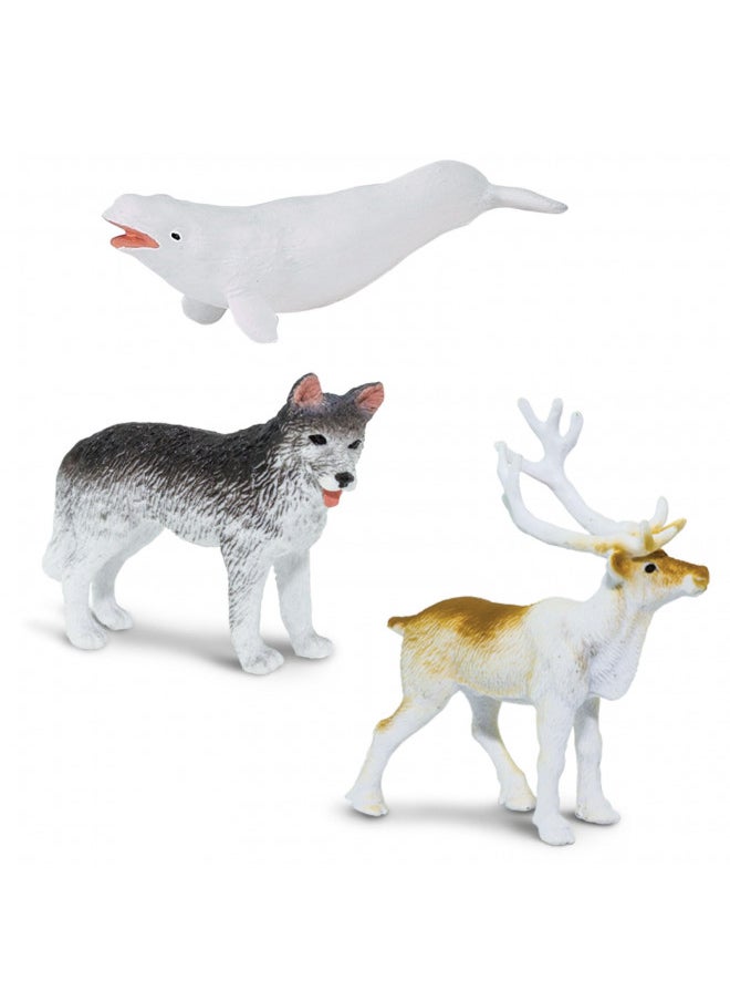 Safari Ltd. - Safari Ltd Arctic TOOB With 10 Fun Figurines, Including A Harp Seal, Husky, Caribou, Arctic Rabbit, Killer Whale, Walrus, Arctic Fox, Beluga Whale, Igloo, And Polar Bear For Ages 3 and Up - Image 1