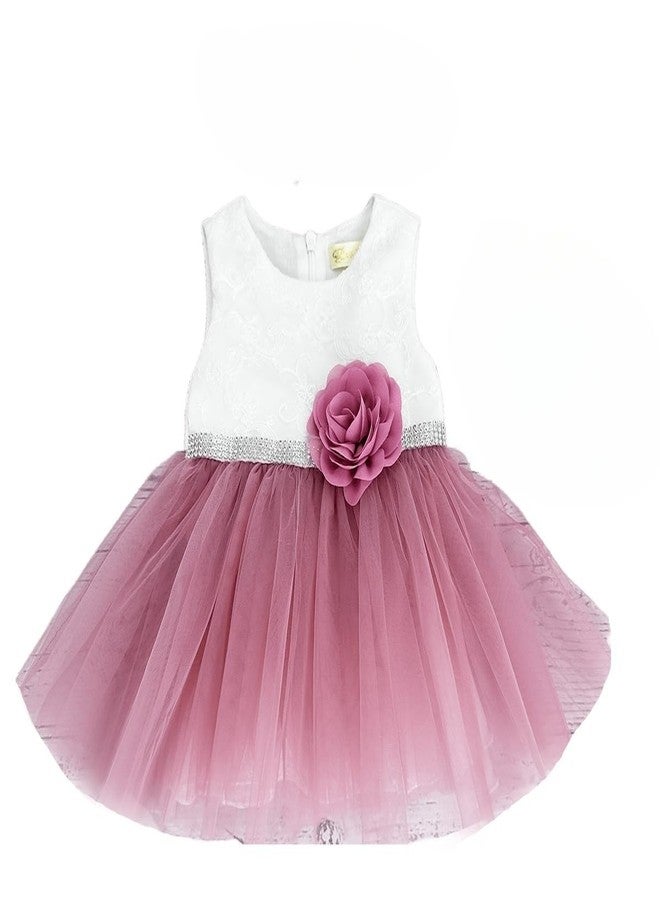 Bow Dream Tulle Baby Flower Girl Dresses Wedding Birthday Party Pageant Formal Tutu Gown Dusty Rose 0-3 Months