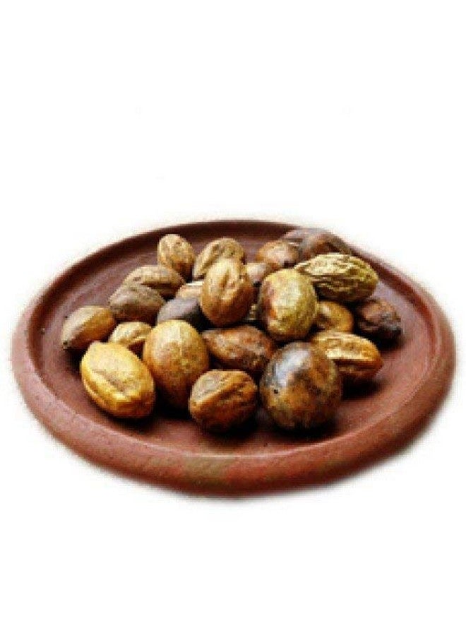 Neotea Harda Terminalia Chebula Kadukkai Haritaki, 250GM - 100% Pure Dried Fruit for Digestive Health, Detox, and Wellness Natural Ayurvedic Remedy for Immunity Boost, Detoxification, and Overall Health Support - Image 5