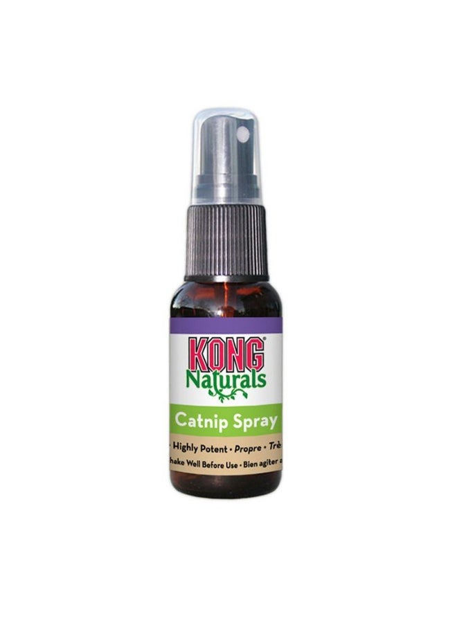 كونج بخاخ النعناع البري للقطط من كونغ ناتشورالز، 1 أونصة - Image 1