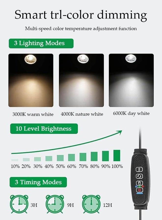 DUNISO LED Spot light, 3W Spotlight Uplights Indoor, 3 Color Lighting Modes and Foot Switch, , 1.8m Cord Courtyard Light ,Plug in Light Be Available for Yard ,Step, Lawn ,Plant Artwork - Image 4