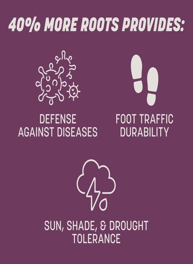 Pennington بنينغتون 100543725 مزيج بذور عشب الفستوكة الطويلة المظللة من ذا ريبيلز، 3 أرطال، الملصق الأسود - Image 5