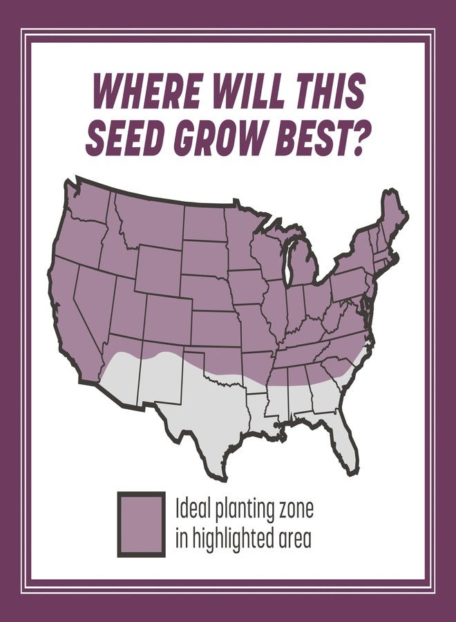 Pennington بنينغتون 100543725 مزيج بذور عشب الفستوكة الطويلة المظللة من ذا ريبيلز، 3 أرطال، الملصق الأسود - Image 4