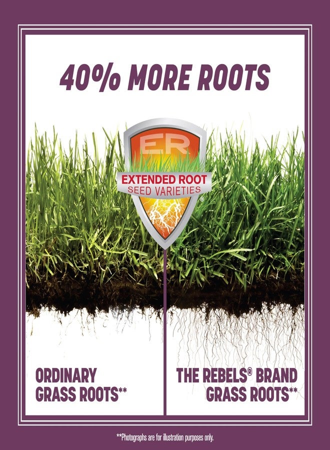 Pennington بنينغتون 100543725 مزيج بذور عشب الفستوكة الطويلة المظللة من ذا ريبيلز، 3 أرطال، الملصق الأسود - Image 3