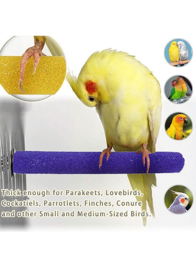 سايج سكوير مجموعة من 6 و10 و12 بوصة من مجاثم الرمل الخشنة المصنوعة من الخشب الطبيعي | حامل اللعب والتدريب وملحقات القفص | العصافير والببغاوات والبادجي والكوكاتيل (عبوة من 3 قطع) - Image 5