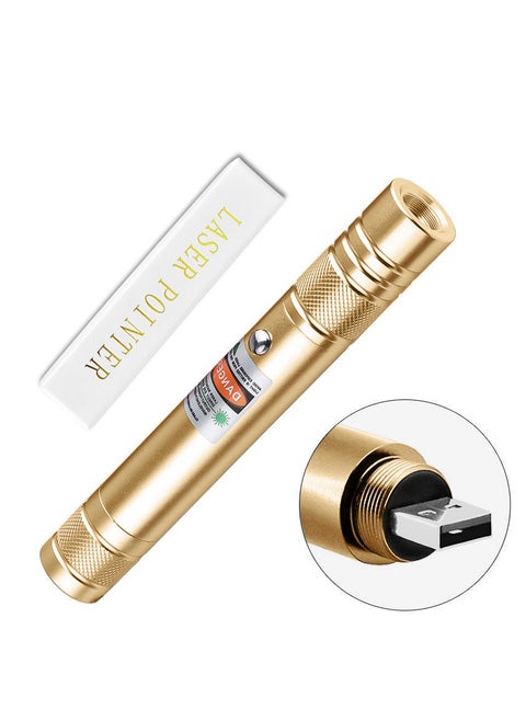 High Power Laser Pointer Green rechargeable LED Flashlight（Gold）
