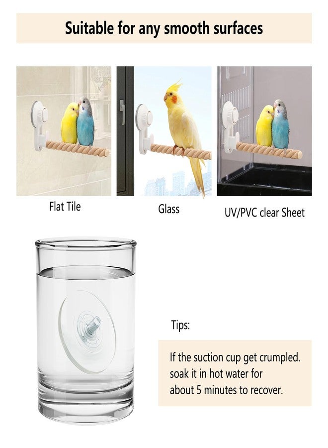 DVHEY Suction Cup Bird Perch,Natural Wood Parrot Window/Bath/Car/Travel/Shower Perches Stand Portable Parakeet Grinding Stick Training Toys for Small and Medium Birds(Twist Grain) - Image 3