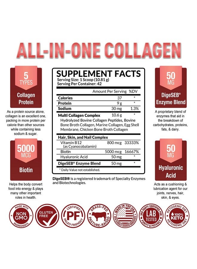 Purely Optimal Premium Multi Collagen Powder 5 Types Of Hydrolyzed Collagen Peptides With Biotin Hair Skin And Nails Vitamins Bone & Joint Support Ketofriendly Unflavored (16 Oz) - Image 3