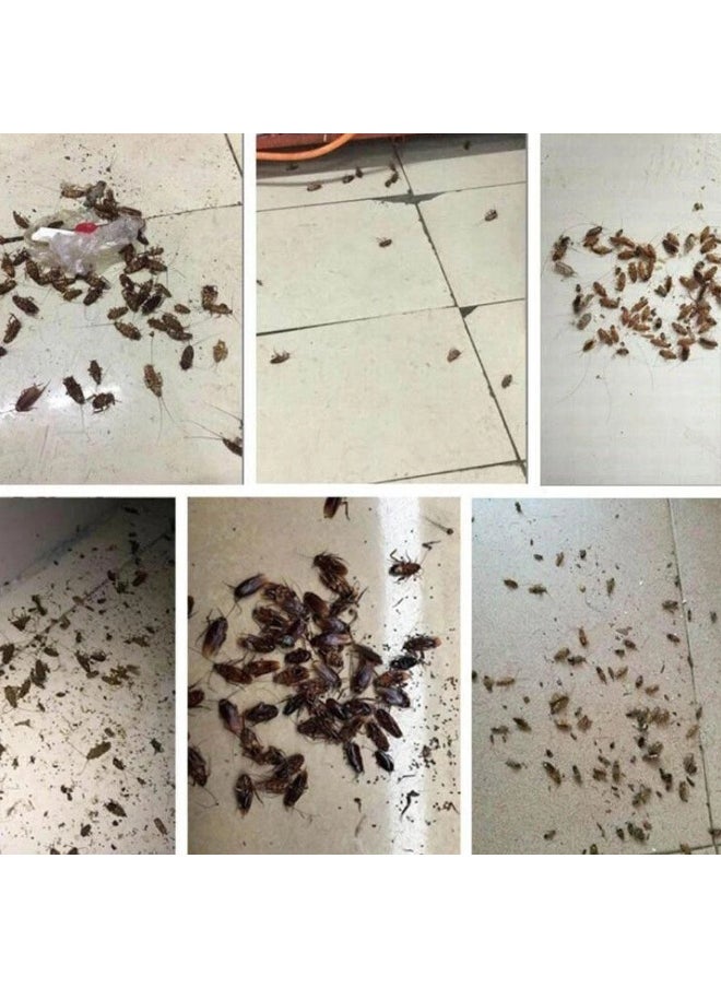 Green Leaf - Pack Of 4 Cockroach Killing Bait - Image 1