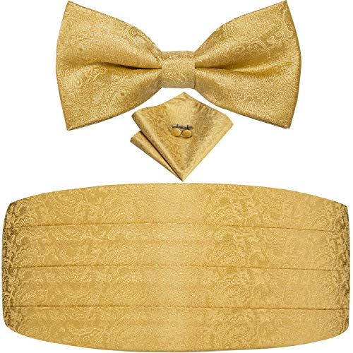 Dubulle Mens Paisley Floral Cummerbund and Bowtie Silk Pretied Bow Ties for Men Handkercheif Cufflinsk Set,A gold - Image 1